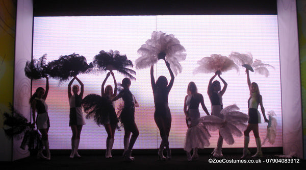 Vintage Ostrich Plumes For Hire | Zoe London Dance Costumes Hire