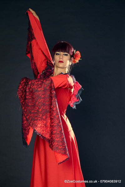 Black Flamenco Dress for Hire | Zoe London Dance Costumes for hire