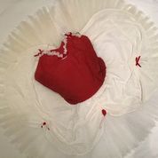 Tutu for Sale La Fille Mal Gardee Zoe London pancake tutu outfits Hire