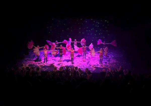 Pink Feather Fans for Hire | Zoe London Dance Costumes rent