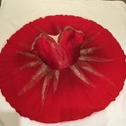 The Sleeping Beauty Fairy tutu for sale / zoe london costume