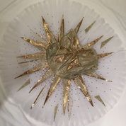The Sleeping Beauty Jewels Gold Tutu for Sale / Zoe London tutus