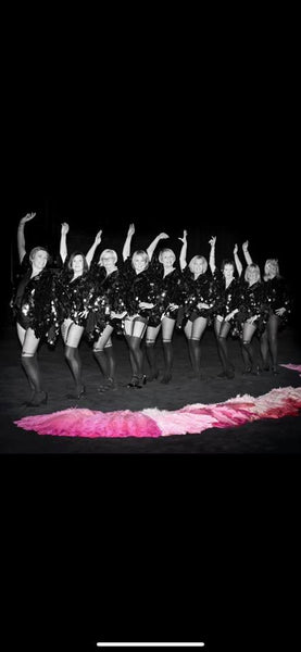 Pink Vintage Feather Fans for Hire | Zoe London Dance Costumes Hire