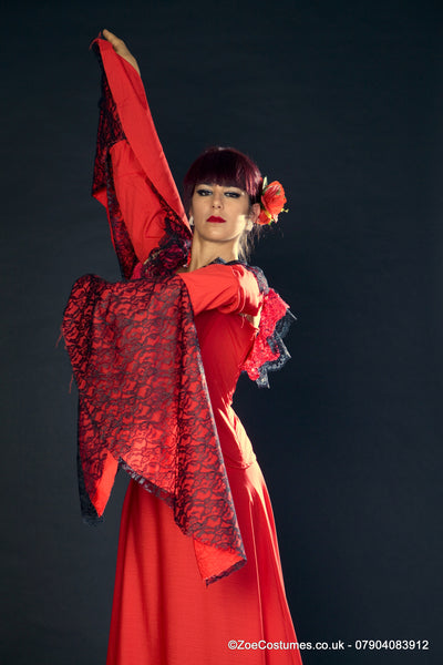 Black Flamenco Dress for Hire | Zoe London Dance Costumes for hire