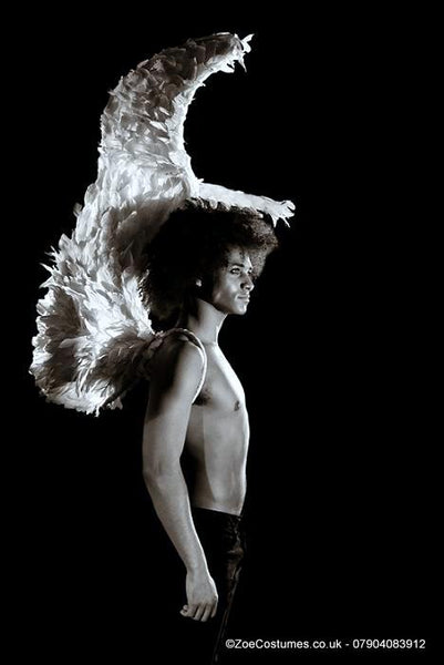 Angel Wings Dance Costume for Rent | Zoe London Costumes Hire