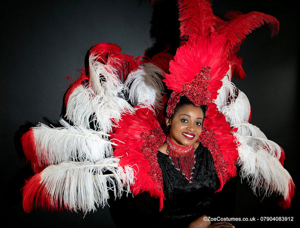 Feather Back Packs for hire in all Colours | Notting Hill Carnival Dancer Costumes for Hire | Zoe London Costumes Rent