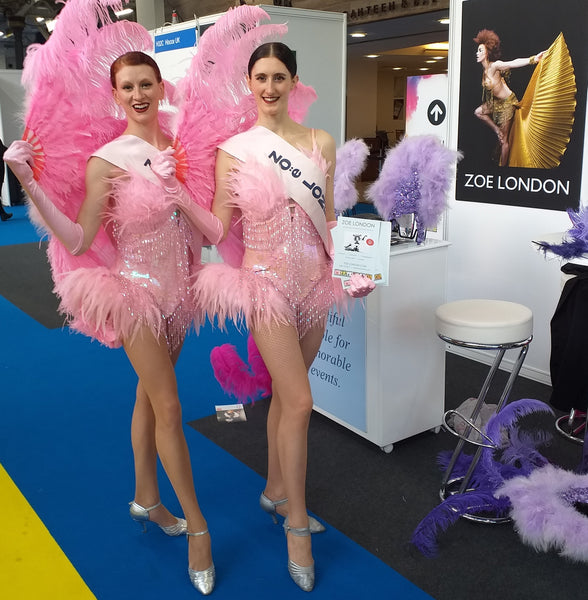 Pink Flamingo costumes for hire in London